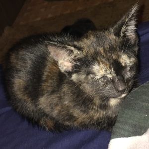 Meet your Posher, Jeremy